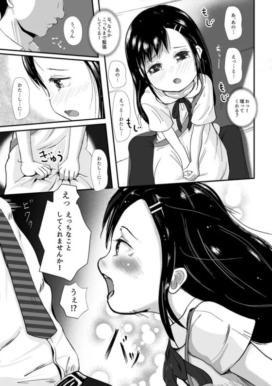 瑠璃ちゃんはあなたにならしてほしい [codox] | DLsite 同人 - R18