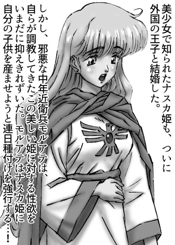 ひめかん23美人人妻に種付け [ぴつが堂] | DLsite 同人 - R18