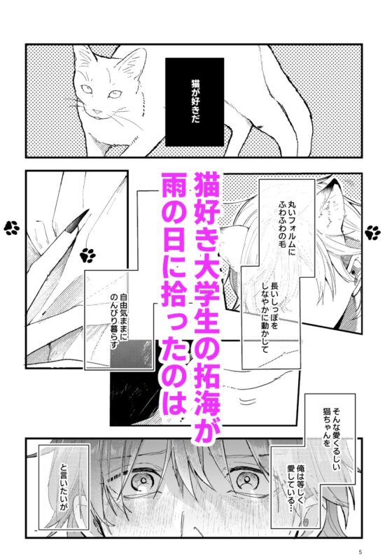 拾った猫が化け猫だった [イチA] | DLsite がるまに