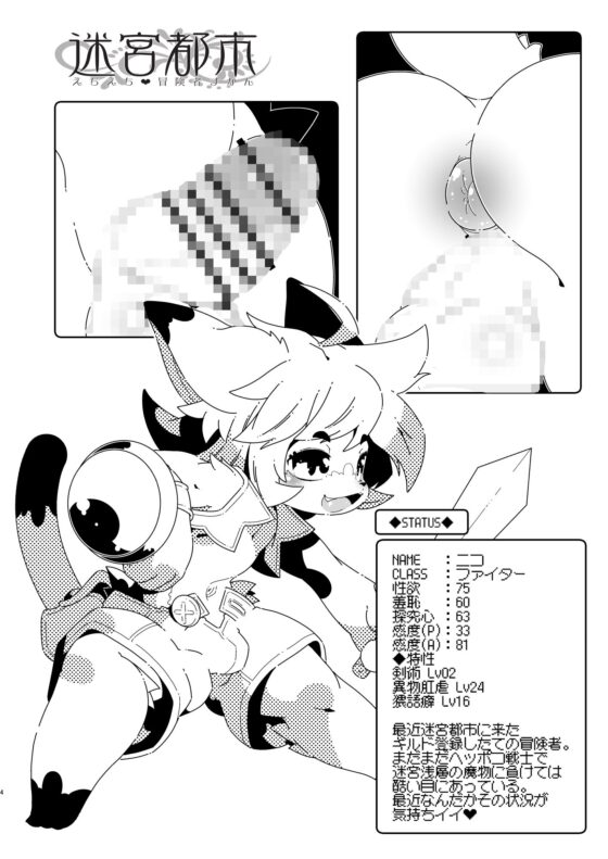 迷宮都市 えちえち冒険者ずかん [水底森] | DLsite がるまに
