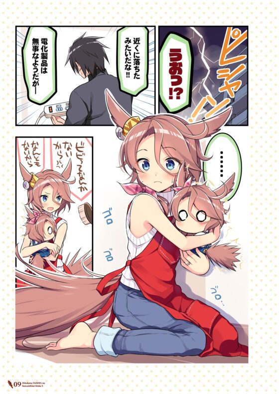 人妻タイシンの存在しない記憶3 [VISTA] | DLsite 同人