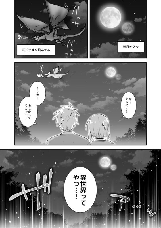 兄妹ですが異世界で結婚しました。 [アクアドロップ] | DLsite 同人