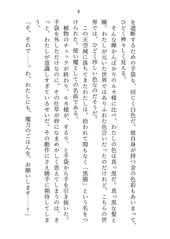 大魔法使い様からえっちで魔力供給してもらってる使い魔ですが元の世界に帰ろうとしたら監禁拘束&オモチャ責めでトロトロおまんこ中出し調教されちゃいました [さみどり] | DLsite がるまに