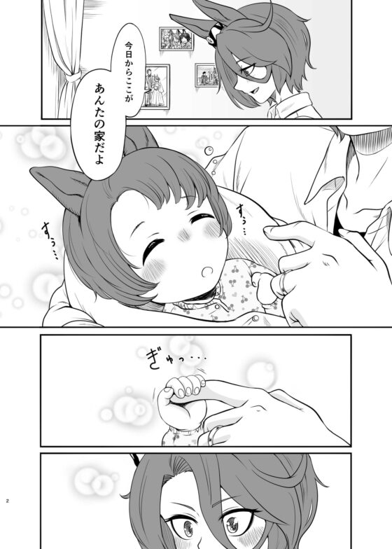 Perfect Fan [メロディ屋(melodiya)] | DLsite 同人