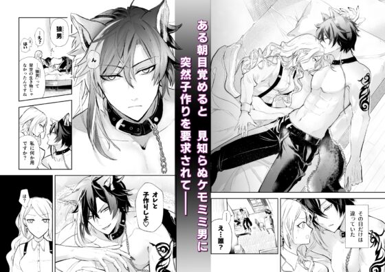 発情した狼男に子作りを強制されました [狐の嫁入り] | DLsite がるまに