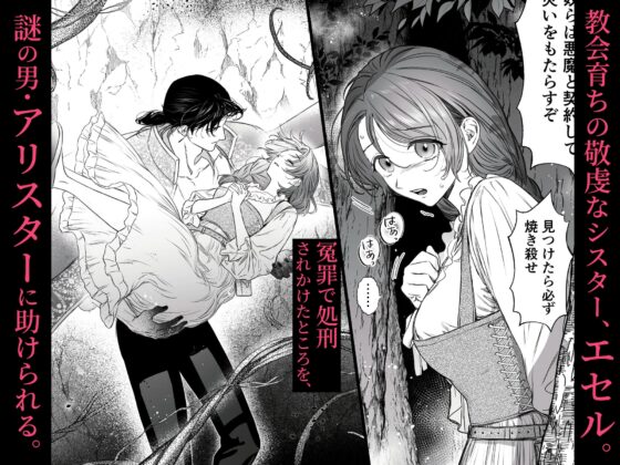 Mellis Maleficarum~うそつき悪魔の催淫調教~ [MEZ] | DLsite がるまに