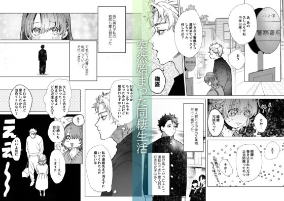 初恋の人の、身元引受人になりました。 [10時間睡眠] | DLsite がるまに