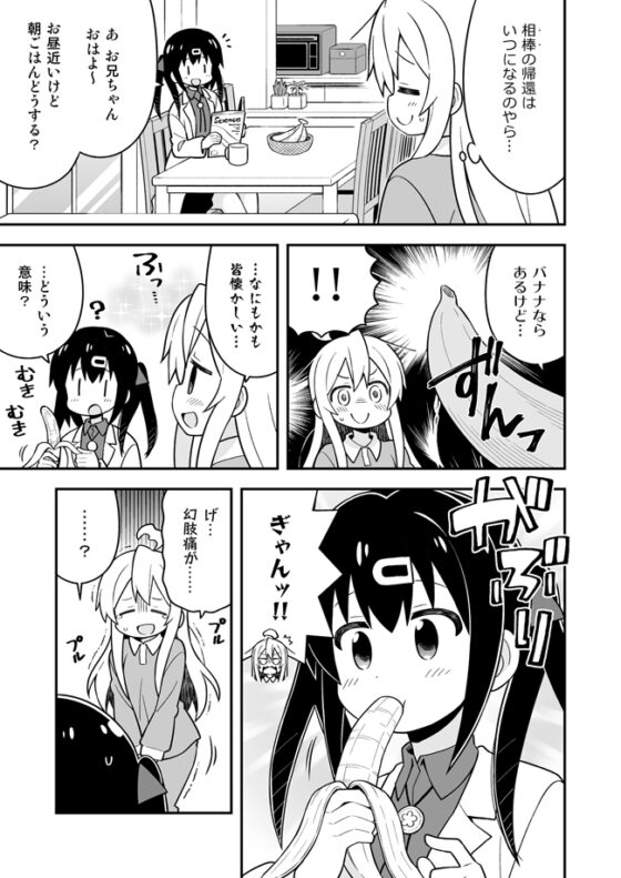 お兄ちゃんはおしまい!特別編 [GRINP] | DLsite 同人