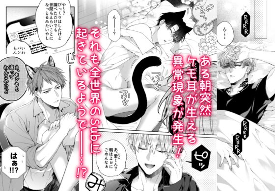 しとあめわんにゃん-全世界のSubに突然ケモ耳が生える異常現象パラレル本- [6109] | DLsite がるまに