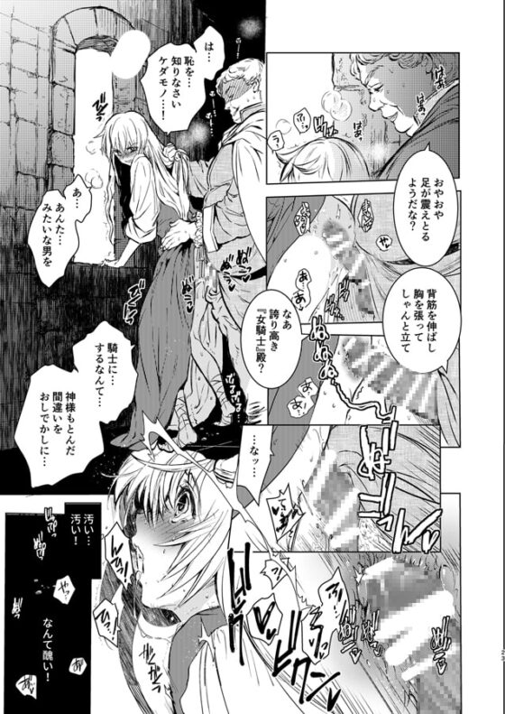 Saint foire Festival 11 [床子屋] | DLsite がるまに