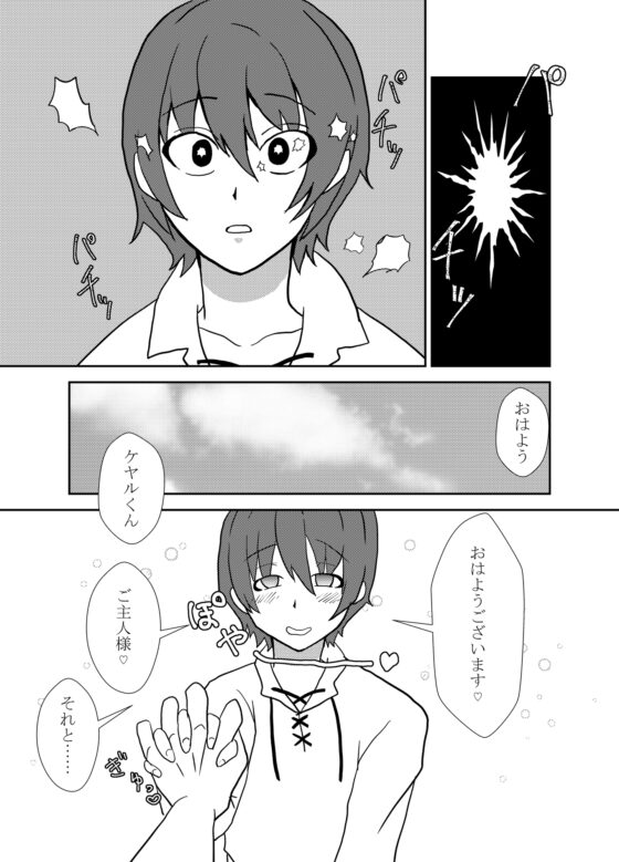 回復術士を捕まえて催眠で嫁にして種付けセックス [シュガーちりめん] | DLsite がるまに