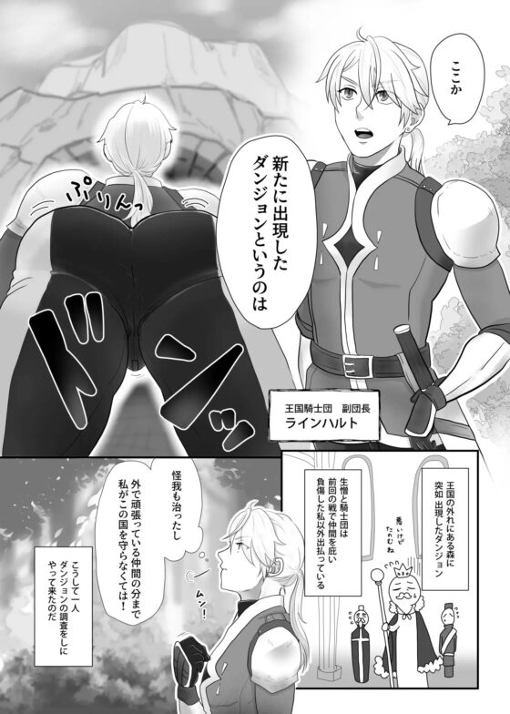 即堕ち騎士 [野次馬セルディビジョン] | DLsite がるまに