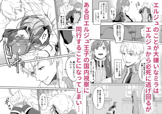 最強女騎士は執着系弟王子から逃げられない! [モゲモゲランド] | DLsite がるまに