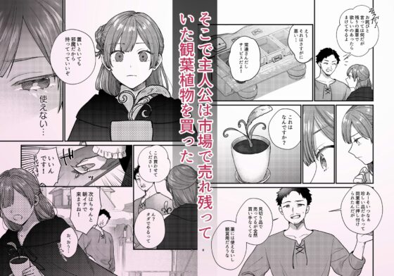 魔女に転生したら淫魔に愛されました。2 [takanagohan] | DLsite がるまに