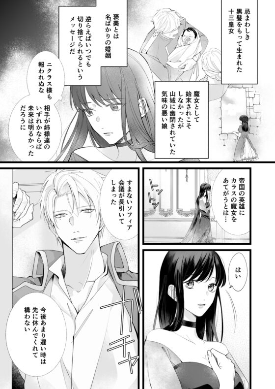 救国の英雄は烏の魔女を冀う [YellowPost] | DLsite がるまに