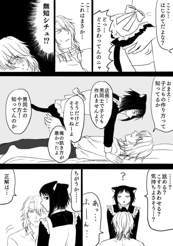 猫カフェ激戦区☆番外編☆ [苺椎茸] | DLsite がるまに