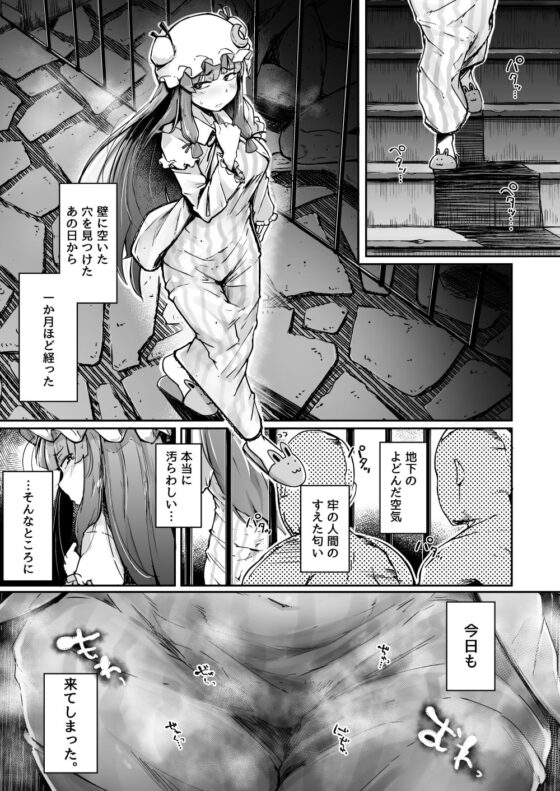 穴とむっつりどすけべだいとしょかん2 [自家発電処] | DLsite 同人 - R18
