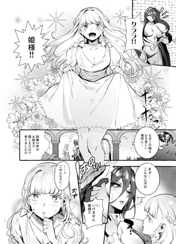 おちんぽ女騎士と処女姫 [非凡] | DLsite 同人 - R18