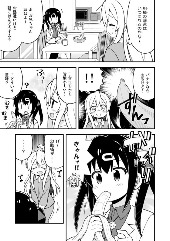 お兄ちゃんはおしまい!特別編おまとめ版 [GRINP] | DLsite 同人 - R18