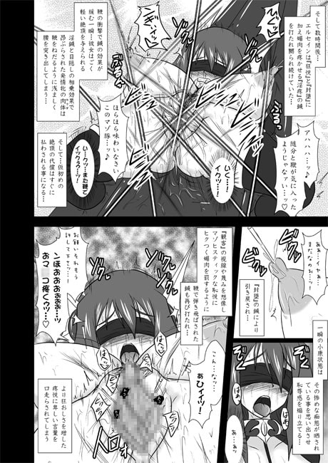 煌盾装騎エルセイン Vol.8 
