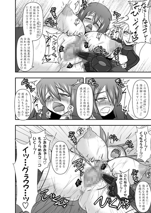 煌盾装騎エルセイン Vol.10 MALICIOUS SISTERS [FONETRASON] | DLsite 同人 - R18