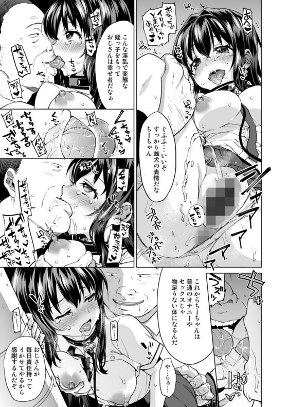 ちーちゃん開発日記総集編+ [夢茶会] | DLsite 同人 - R18
