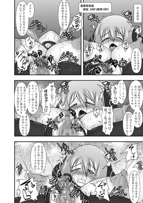 煌盾装騎エルセインVol.11 NETHER LABORATORY [FONETRASON] | DLsite 同人 - R18