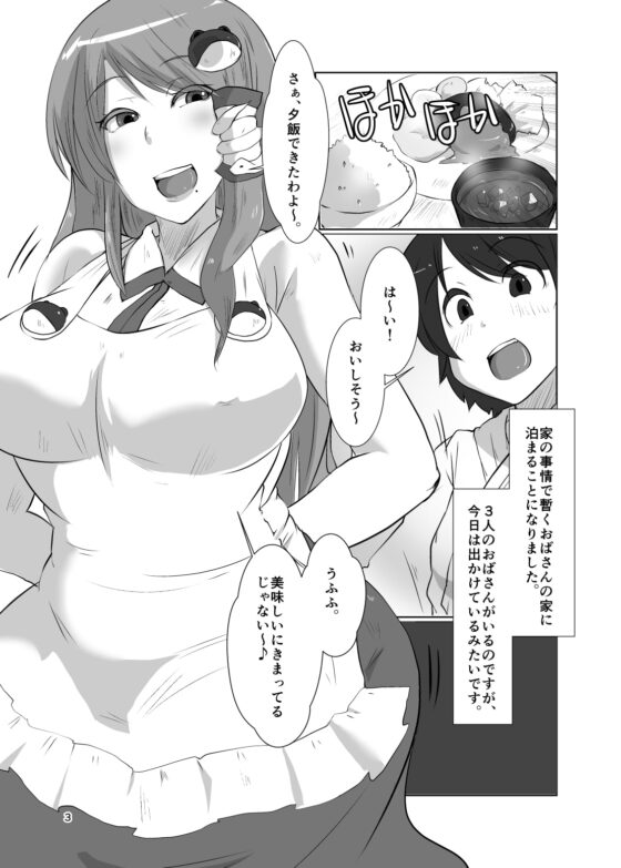 幻想郷のおばさんち_守矢神社一泊目 [臨時PT] | DLsite 同人 - R18