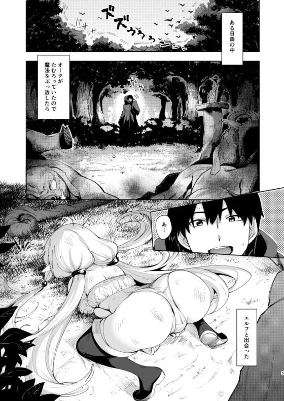 異世界来たので魔法をスケベな事に利用しようと思うII [ぺたパン] | DLsite 同人 - R18