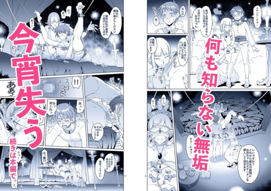 紅絹色の部屋と夜の壺 [朝木blog出張所] | DLsite 同人 - R18