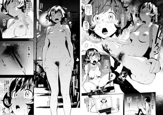 プライベートアキヤマ総集編 [カムリズム] | DLsite 同人 - R18