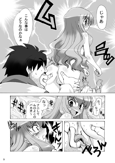 ボクはルイズとSEXする!!+ [SION] | DLsite 同人 - R18