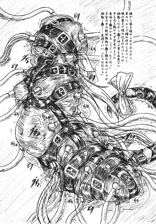 でいずい 肉袋 [すもも堂] | DLsite 同人 - R18