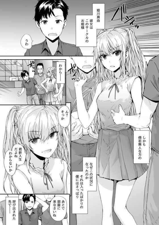 Grand Hotel Princess [furuike] | DLsite 同人 - R18