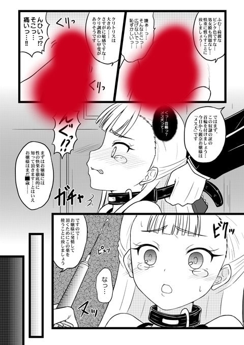 オ嬢様ノ返済計画 [ちらりずむ] | DLsite 同人 - R18