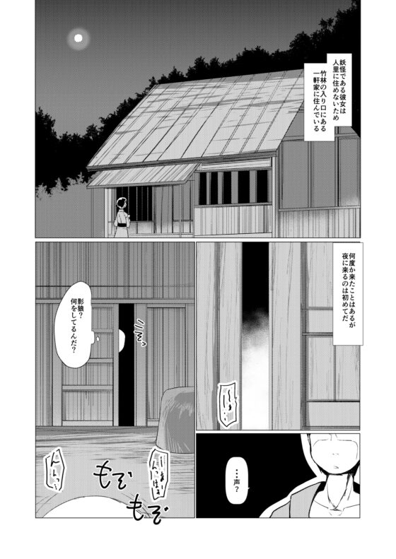 幸せエッチな幻想郷 [ほにゃーの左クリック] | DLsite 同人 - R18