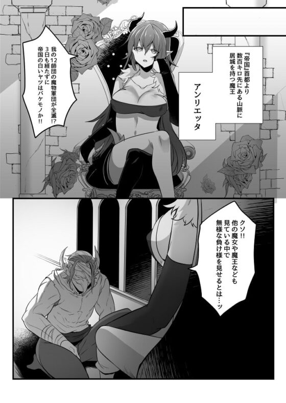 とある魔王の分裂日常 [一兵卒] | DLsite 同人 - R18