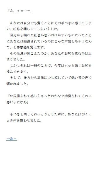 ドスケベゲームブック_電車痴●編(がら堂) - FANZA同人