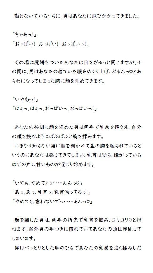 ドスケベゲームブック_夏の夜編(がら堂) - FANZA同人