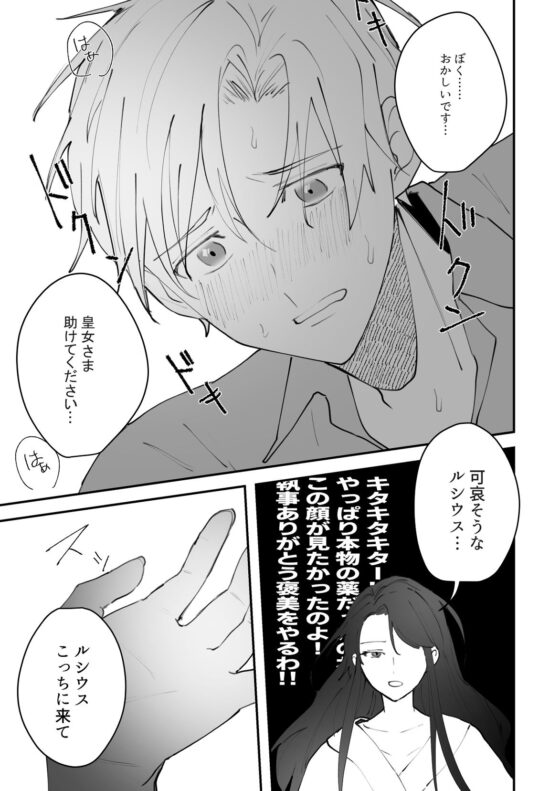 皇女さまと顔の良い奴●〜皇女×奴●の媚薬セックス？〜(SHICO’S KITCHEN) - FANZA同人