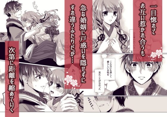 戦獄色語1 姫の巻〜愛する姫が凌●されたので、お清めする話〜(tori sumika) - FANZA同人