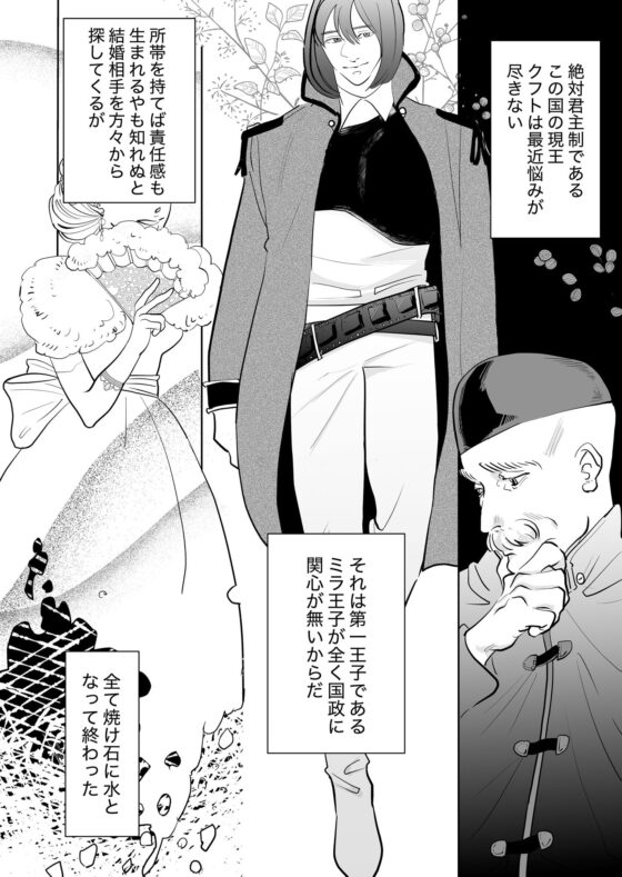 平凡な俺が王子のお嫁さんになる話(ねじまき) - FANZA同人