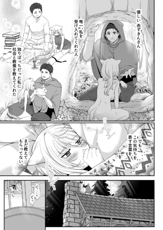 大スキな赤ずきんさんへ。(おにぎりは素手で結べ) - FANZA同人