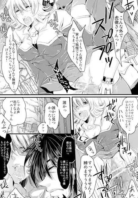 ドSの女王 [Romanesque] | DLsite がるまに
