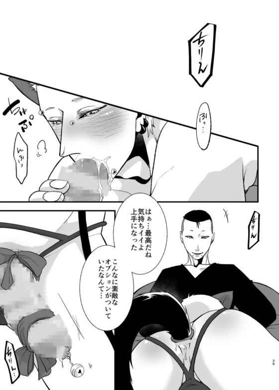 その後の日常の話 欺瞞のEGG続編 [APoP-ToSis003] | DLsite がるまに