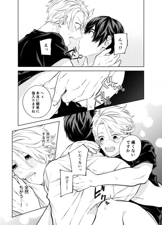 ディスティニー・シンドローム 〜さみしい僕のナカ、奥まで躾けて。〜 [SOLA] | DLsite がるまに