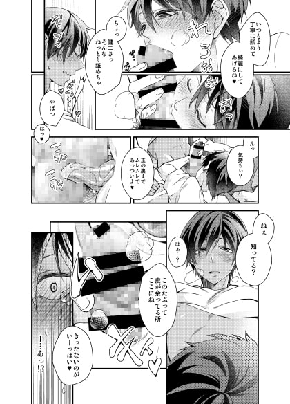 濃厚なフェラチオ [姉苺] | DLsite がるまに