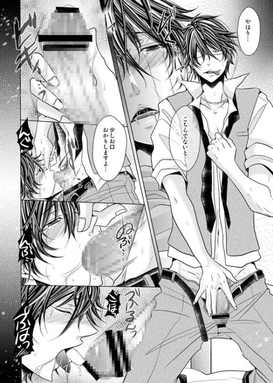 お兄ちゃんとヒメゴト。 [MY BABY-10th] | DLsite がるまに