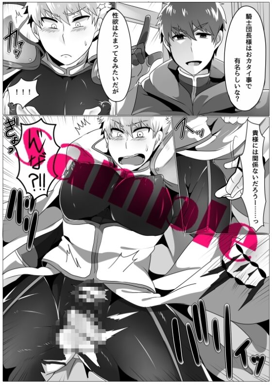 聖騎士が魔道士に敗北するはなし [まろやか古民家] | DLsite がるまに