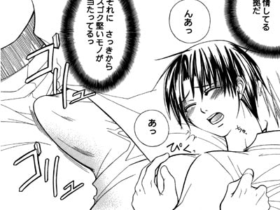 南皇院ラヴァーズ [ヨードリッヒプラン] | DLsite がるまに